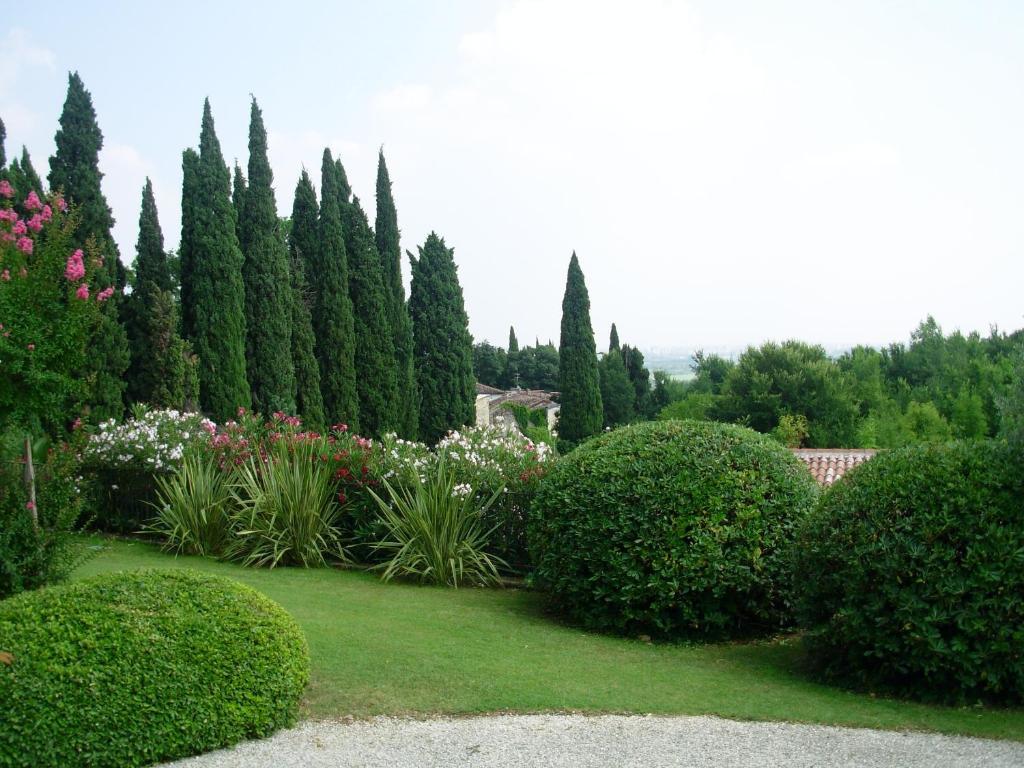 Villa Archi B&B San Pietro in Cariano Bagian luar foto
