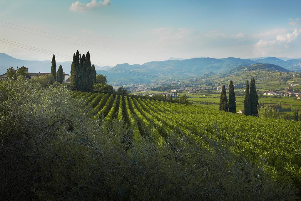 Villa Archi B&B San Pietro in Cariano Bagian luar foto